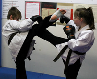 Junior Martial Arts Sparring