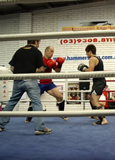 Kickboxing Roundhouse Kick